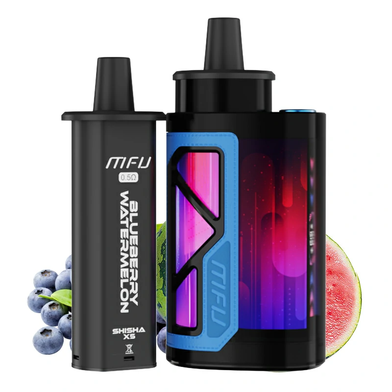 Blueberry Watermelon SHISHA X5 MFU SHISHA X5 KIT 70K PUFFS