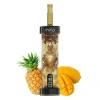 Mango Pineapple SHISHA X1 MFU SHISHA X1 40K PUFFS