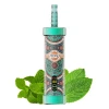 Miami mint SHISHA X2 MFU SHISHA X2 60K & 100K PUFFS | Wholesale price: .12