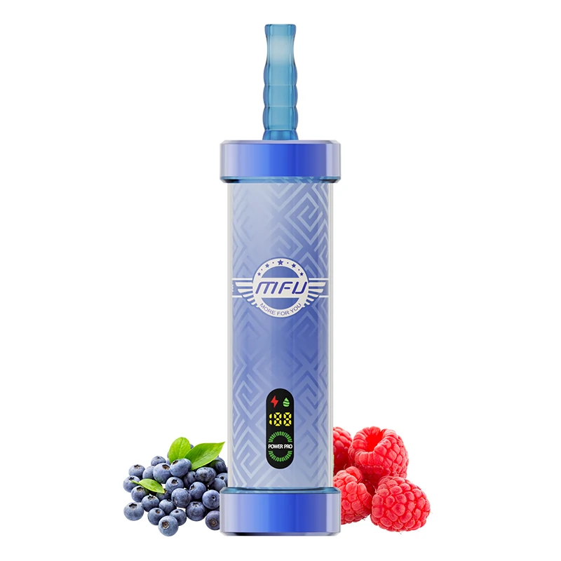 Blue Razz Ice Blue Razz Ice:MFU SHISHA X2 100K PUFFS VAPE HOOKAH