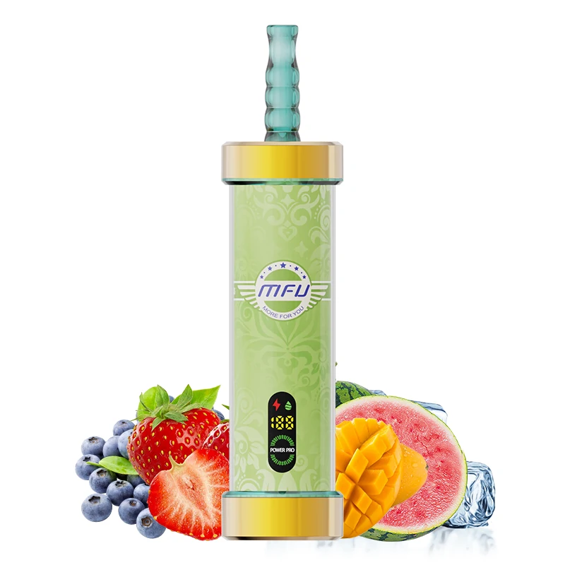 Four seasons Four Seasons:MFU SHISHA X2 100K PUFFS VAPE HOOKAH
