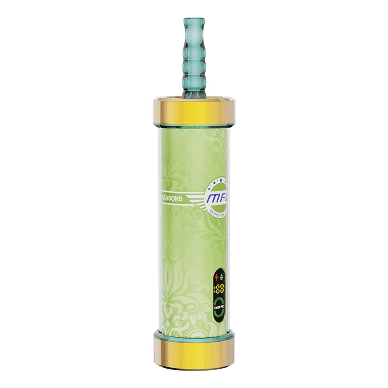 Four seasons4 Four Seasons:MFU SHISHA X2 100K PUFFS VAPE HOOKAH