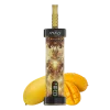 Mango Mango:MFU VAPE SHISHA X1 40K PUFFS VAPE HOOKAH