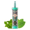 Miami mint Miami Mint:MFU SHISHA X2 100K PUFFS VAPE HOOKAH