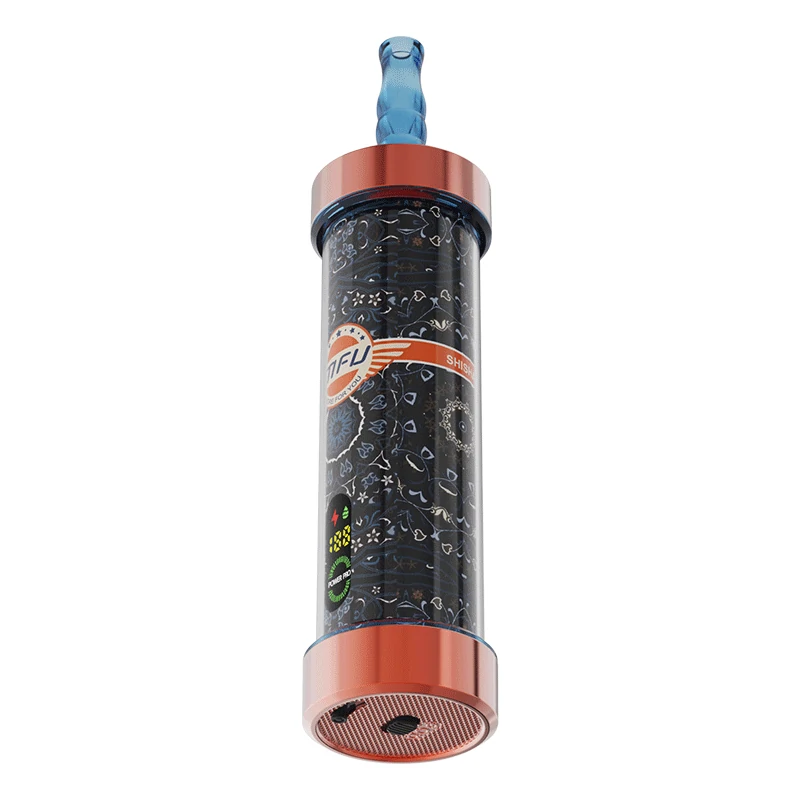 Mixed Berries1 Mixed Berries:MFU SHISHA X2 100K PUFFS VAPE HOOKAH